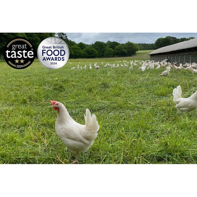 Packington Free Range White Eggs 12 per pack, imported from the UK