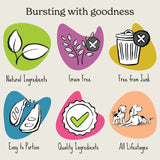 Forthglade dog treats with salmon 90g - British product