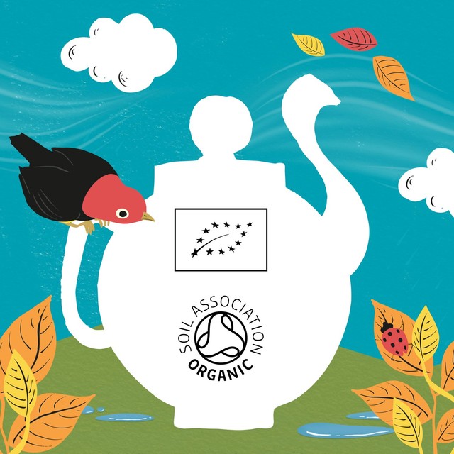 Clipper organic fennel tea bags 20 pack - British product