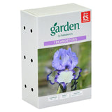 Sainsburys Iris Germanica Chinkianq