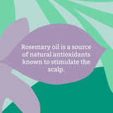 Faith In Nature rosemary shampoo 1L - British product