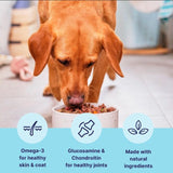 Tails mature dog wet food chicken 150g (British brand)