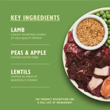 Lily's Kitchen Lamb Shepherd's Pie dry dog food 1kg, UK version