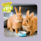 Burgess Indoor Rabbit Nuggets 1.5kg - British product