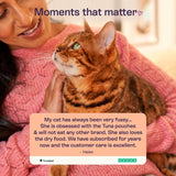 Blink Kitten Wet Cat Food Chicken & Fish Fillets in Jelly Multipack 8 x 85g - British product