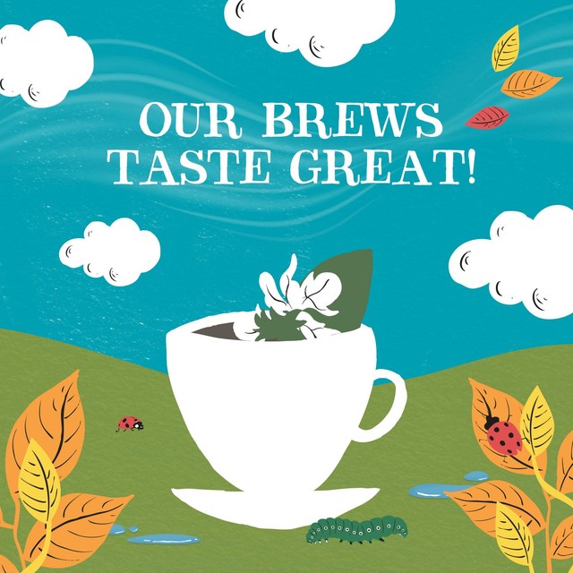 Clipper Organic Liquorice Teabags 20ct, UK version