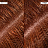 Philip Kingsley no scent no colour shampoo 250ml, imported from the UK