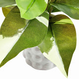 M&S moss & sweetpea artificial philodendron plant, imported from the UK