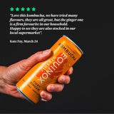 Equinox organic fiery ginger kombucha multi-pack, UK version