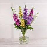 Sainsburys Stock Abundance