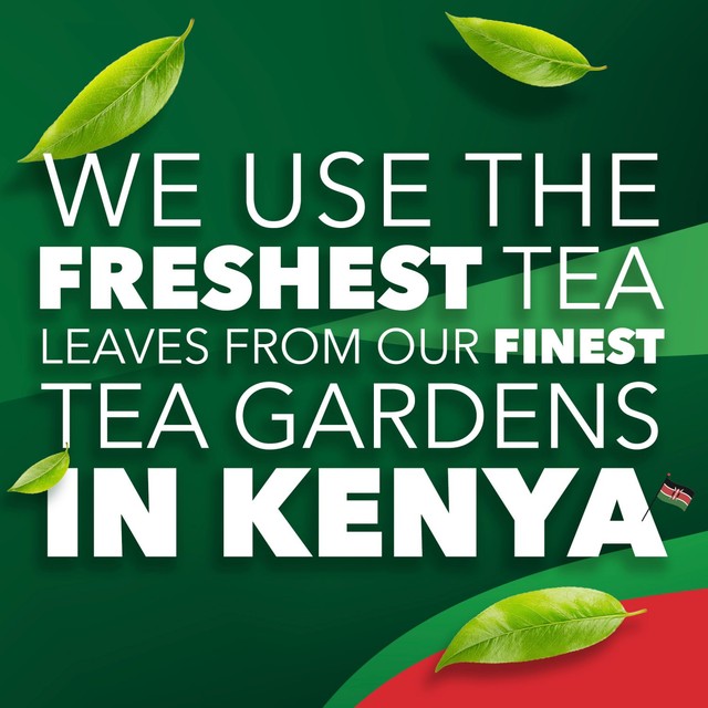 PG Tips black tea biodegradable tea bags 400 pack, imported from the UK