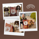 Griffiths beef dry dog food 3kg - British product