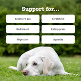 Zesty Paws dog chews probiotic pumpkin flavour - British product