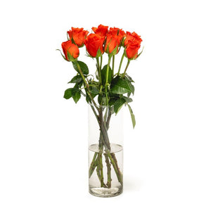 MM Flowers Orange Roses Cut Flowers 8 Stems 40cm