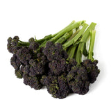 M&S Natoora British Purple Sprouting Broccoli Fresh Vegetable 225g- Buy online at McGrocer