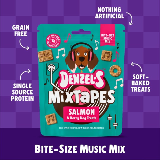 Denzel's Salmon & Berries Dog Treats 90g - British product