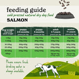 Forthglade Salmon with Sweet Potato Dog Food 2kg - British product
