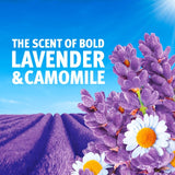 Bold washing powder lavender and camomile 3400g - British product