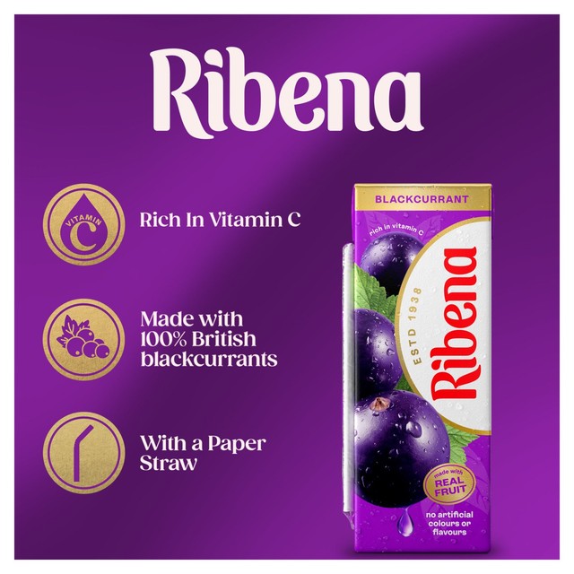 Ribena blackcurrant juice drink cartons, imported from the UK