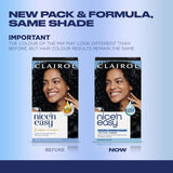 Clairol Nice'n Easy 2 Black hair dye box - British product