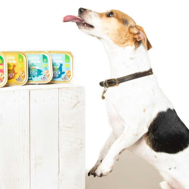 Edgard & Cooper wet dog food with organic fish - British product