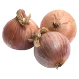Oignons roses Natoora de Bretagne, oignons frais 450 g
