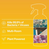INEOS Antibacterial Multi-Room Spray Sicilian Lemon and Cypress 750ml, UK version