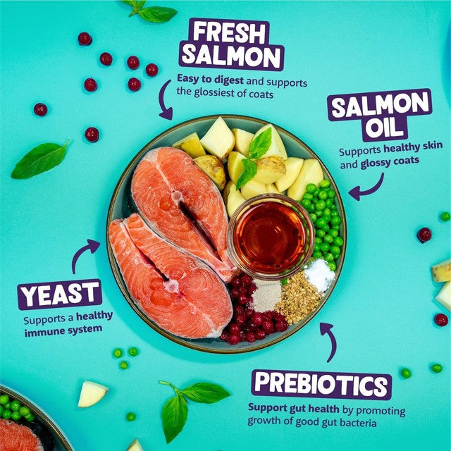 Edgard & Cooper Adult Salmon dry cat food 4kg - British product