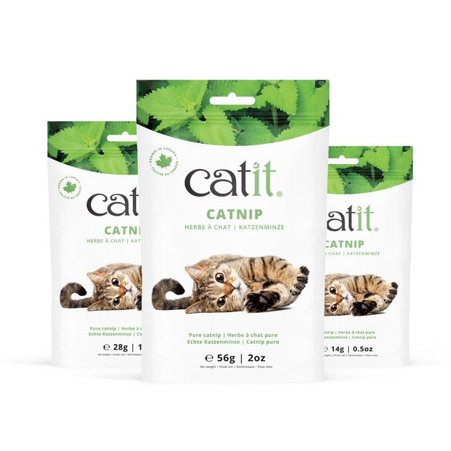 Catit catnip 56g - British product