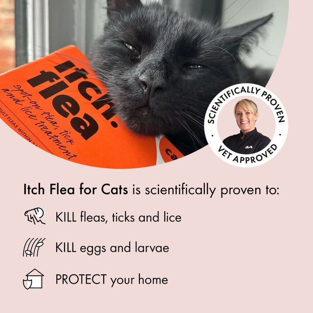 Itch Flea Cat Spot-On Treatment 1kg+, UK version