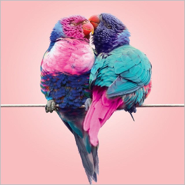 Abacus Rainbow Lorikeets Kissing blank card 16cm x 16cm, imported from the UK