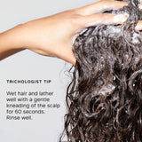 Philip Kingsley smoothing shampoo Re-Moisturizing 250ml, imported from the UK