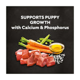 Cesar dry puppy food with chicken rice vegetables 1.4kg (British brand)