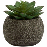 M&S M&S Moss & Sweetpea Artificial Mini Succulent Pot Green Artificial Plant Pot One Size- Buy online at McGrocer