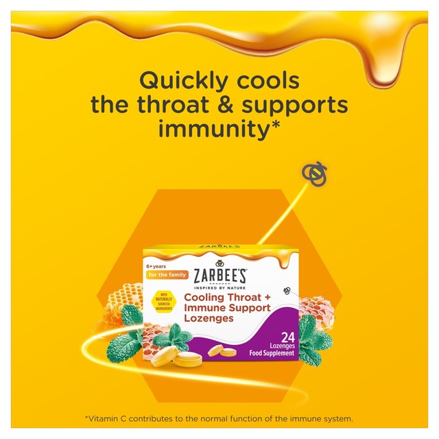 Zarbee's Cooling Throat Lozenge 24 Lozenges (British brand)