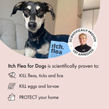 Itch flea spot-on treatment for large dogs 20-40kg, UK version