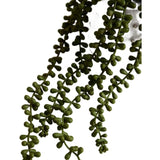 M&S String of Pearls artificial succulent in bobble ceramic pot (British brand)