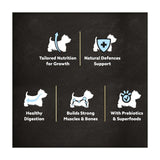 Cesar dry puppy food with chicken rice vegetables 1.4kg (British brand)