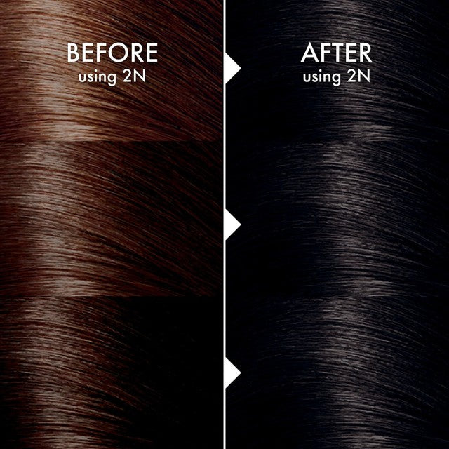 John Frieda Foam Hair Colour Natural Black 2N Kit, UK version