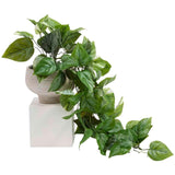 M&S M&S Moss & Sweetpea Artificial Trailing Pothos in Cement Pot Home Decor- Buy online at McGrocer