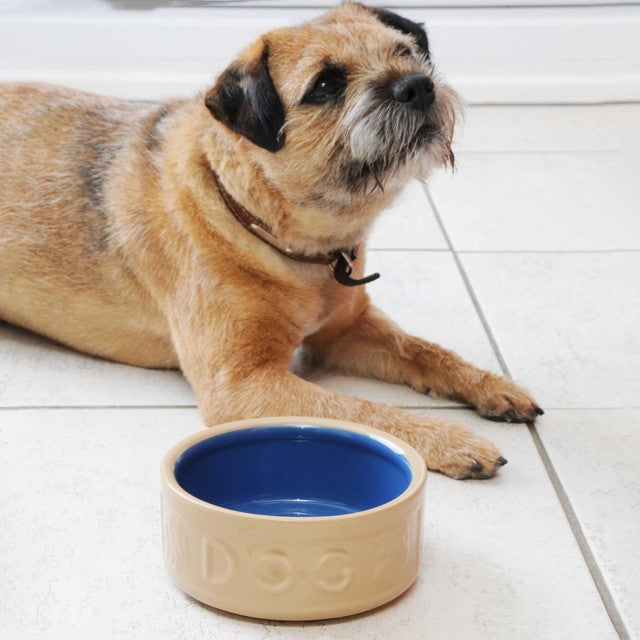 Mason Cash Lettered Cane & Blue dog bowl 18cm, imported from the UK
