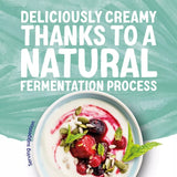 Alpro plain coconut yoghurt alternative 500g - British product