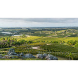 Bodega Garzon Reserve Tannat red wine 75cl - British product