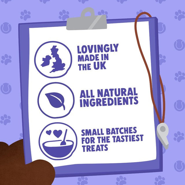Denzel's Salmon & Berries Training Bites 100g - British product