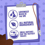 Denzel's Salmon & Berries Training Bites 100g - British product