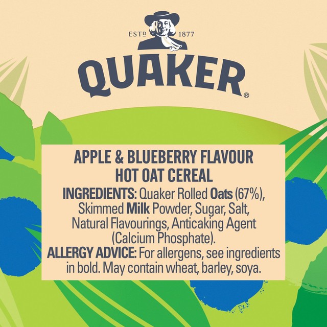 Quaker apple & blueberry porridge pot 57g (British brand)
