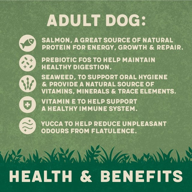 Harringtons salmon & potato dry dog food 12kg, UK version