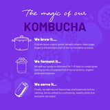 One Living Passionfruit Sugar Free Kombucha 4x250ml, imported from the UK