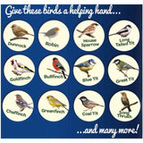 Peckish mealworms for wild birds 500g, imported from the UK