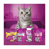 Whiskas cat milk 200ml (British brand)
